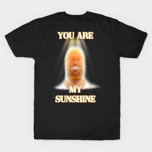 you are my sunshine my only sunshine lebron james T-Shirt